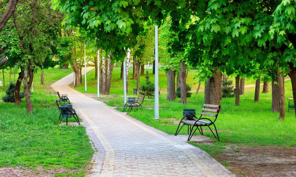 Green Lush Parks